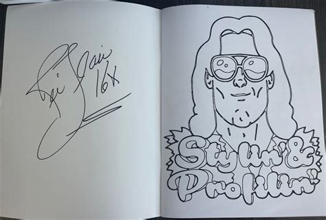 ric flair colouring book